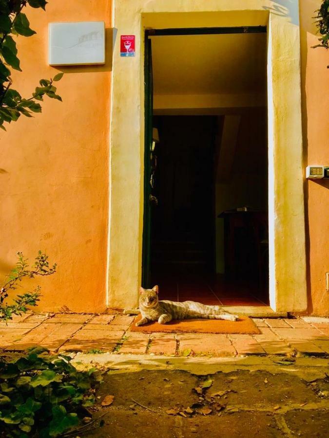 Casale Appio Hotel Rome Exterior photo